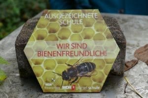 Das ASG erhält das Siegel „Bienenfreundliche Schule“